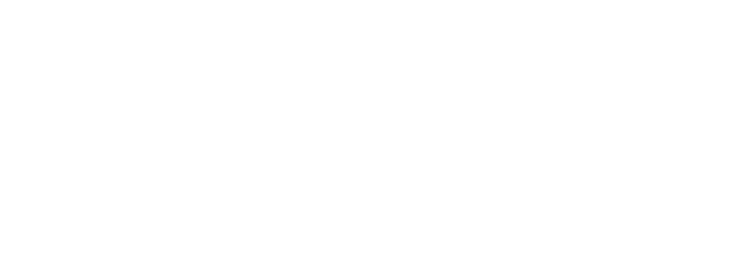 CIOVITA_Wordmark_White